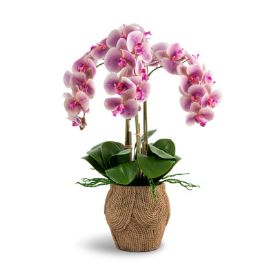 Manorca RealTouch Orchid Arrangement