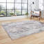 Apollo area rug Machine Woven Rectangle Grey