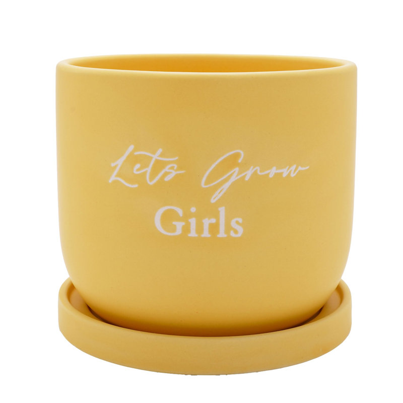 Ceramic Pot Planter