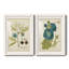 Eloquent Botanical III - Ensemble de 2 peintures encadrées-1783754811-1783842117-1783843485