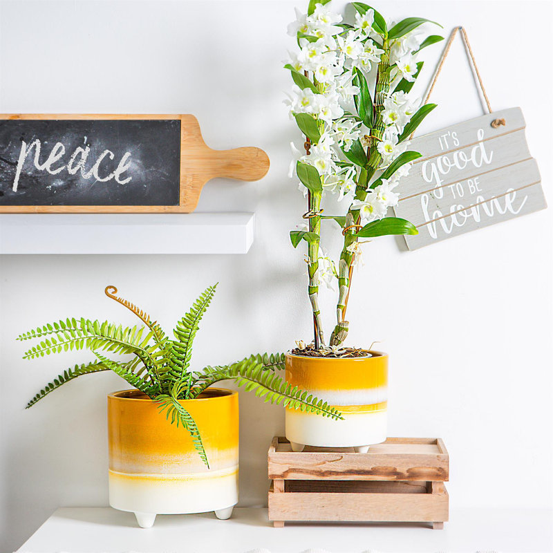 Ceramic Pot Planter, Yellow