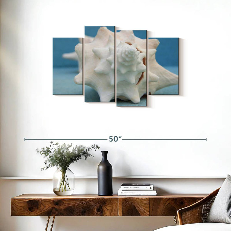 Coquillage blanc Aletra