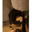 Beige-blanc + polyester brun-noix + lampes sur pied de forme libre en acier au carbone