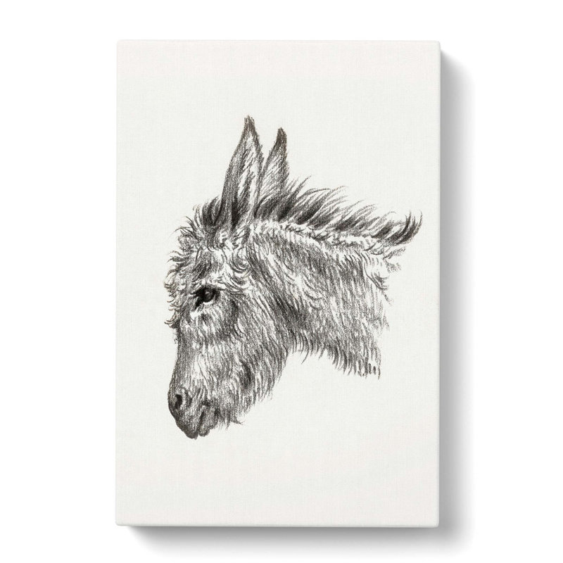 Head Of A Donkey by Jean Bernard - Wrapped Canvas Print, 50cm H x 35cm W x 3cm D