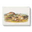 Warm Wood Hare by J.W. Audubon - Wrapped Canvas-55370098