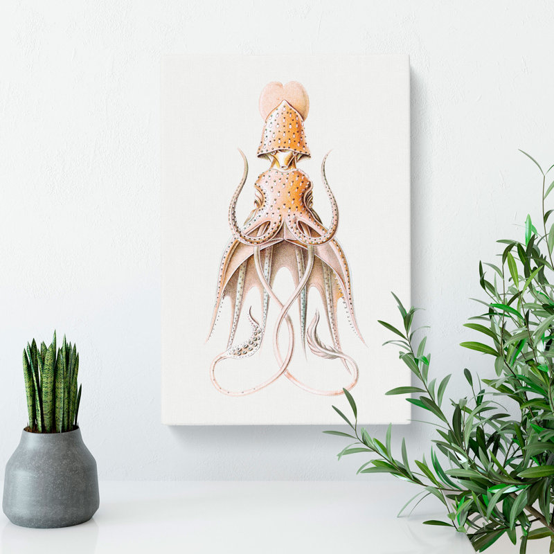 Vintage Squid Vol.2 by Ernst Haeckel - Wrapped Canvas Print, 60cm H x 40cm W x 3cm D