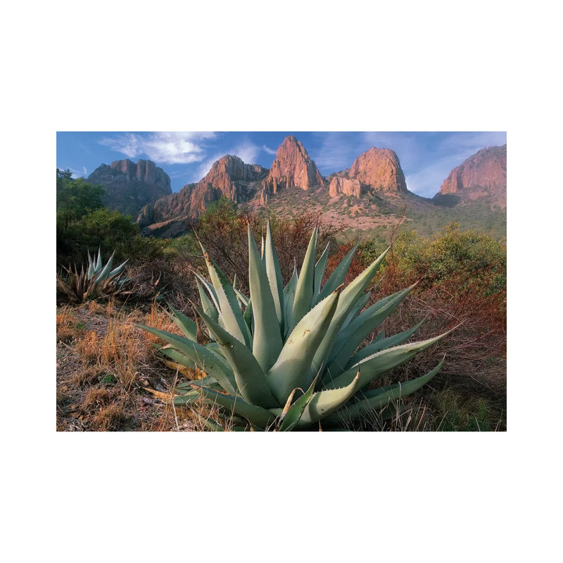 Chisos Agave And The Chisos Mountains, Big Bend National Park, Texas II by Tim Fitzharris - Wrapped Canvas Print