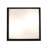 Glass Flush Mount