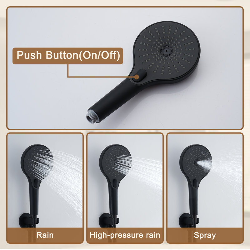 Matte Black Stainless Steel Rain and Pulse Shower System