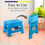 Plastic Step Stool