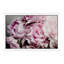 Elizabeth Urquhart - Print on Canvas-56677320-101336733