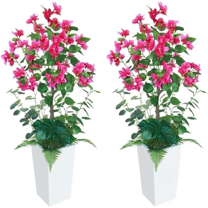 120cm Plant