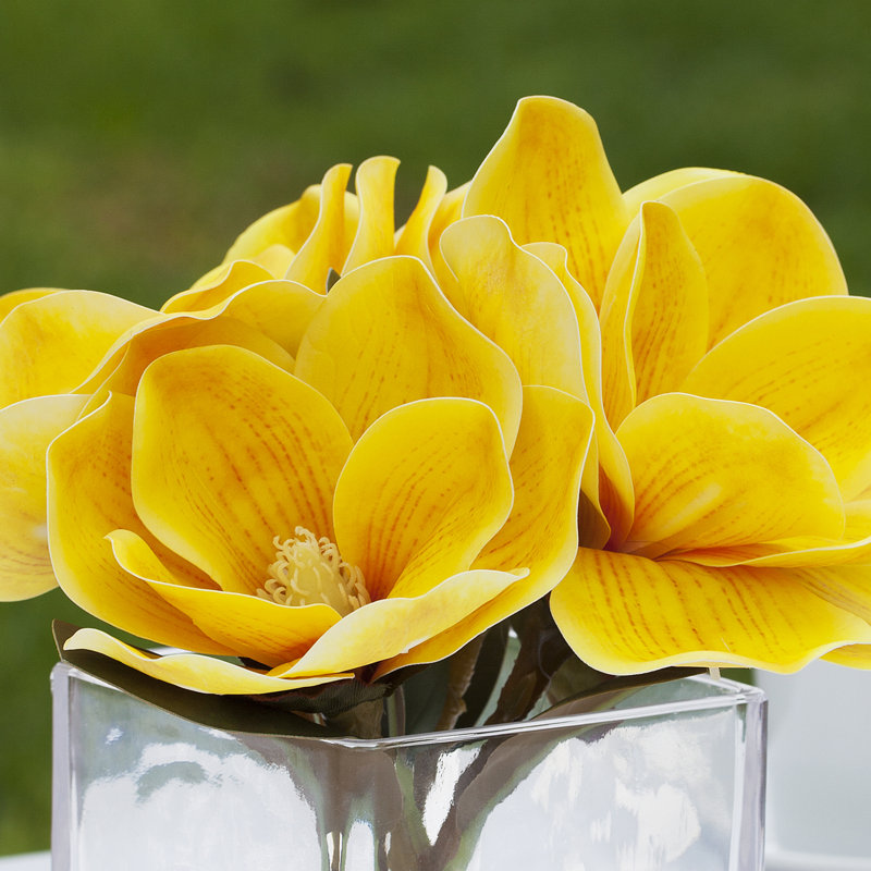 Magnolia dans un vase, Jaune