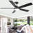 60 Inch Modern Ceiling Fan With Light And Remote, 5 Double-side Blades [black], Quiet Reversible Dc Motor, 6 Speed, 3 Color Temperature, Large Airflow Indoor/covered Outdoor Ceiling Fan For Living Room, Bedroom, Patios, Porch, Gazebo