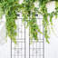 Treillis de jardin en métal pour plantes grimpantes, antirouille, paquet de 4