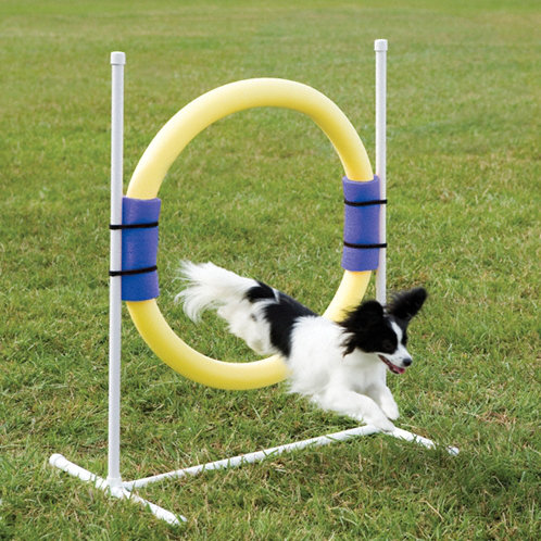 Ring Jump