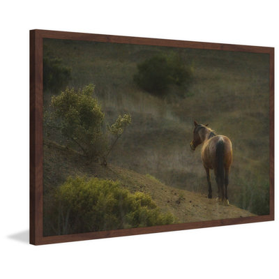Melanie Snowhite - Single Picture Frame Print