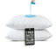 Protège-oreillers matelassés imperméables avec fermeture éclair (paquet de 2)-20516204-20516206