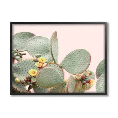 Art mural Stupell Industries, fleurs de cactus sur toile rose par Sissi et Seb