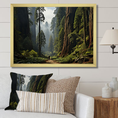 Sequoia And Kings Of Forest I - Landscapes Canvas Art Print