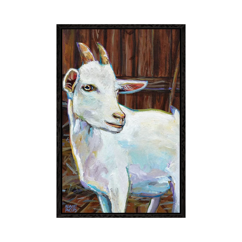 White Goat In Barn by Robert Phelps - Gallery-Wrapped Canvas Giclée on Canvas, 66.04 cm H x 45.72 cm W, Black Framed