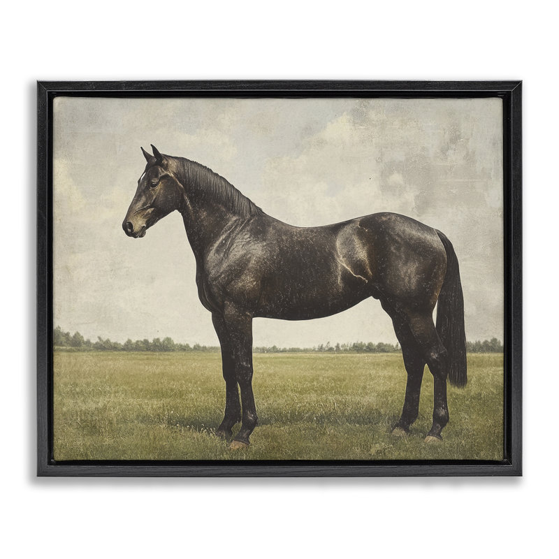 Cadre flottant à portrait de cheval, design par Petal Prints Design, Cadre flottant noir de jais, H 17 po x l 21 po