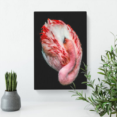 Curled Flamingo - Wrapped Canvas