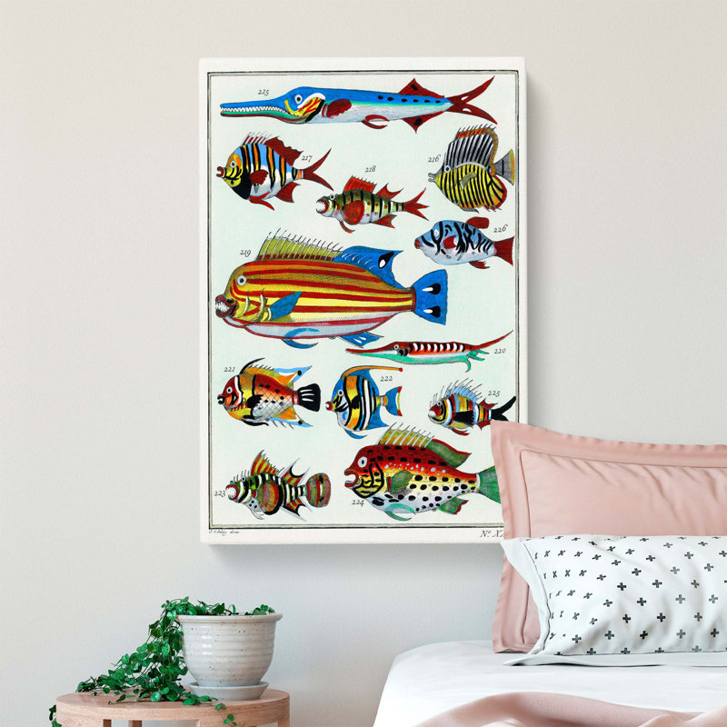 Exotic Fish Illustration - Wrapped Canvas Painting, 50cm H x 35cm W x 3cm D