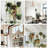 Chyvonne Plant Hanger