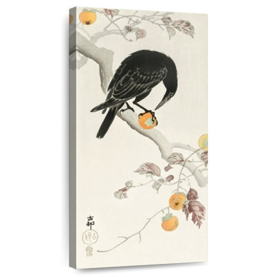 Corbeau avec kaki