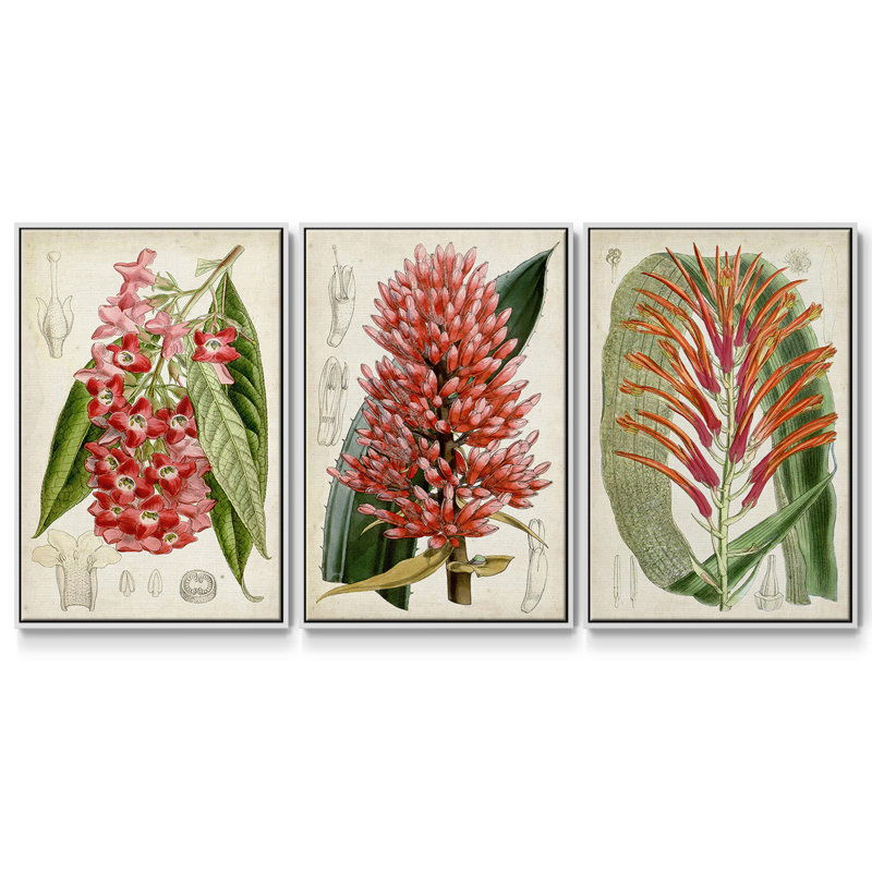 Tropical Gems IV, ensemble de 3 toiles encadrées sur toile, Blanc, H 40 po x l 78 po