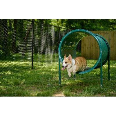 Enclos pour animaux Pollitt Doggie
