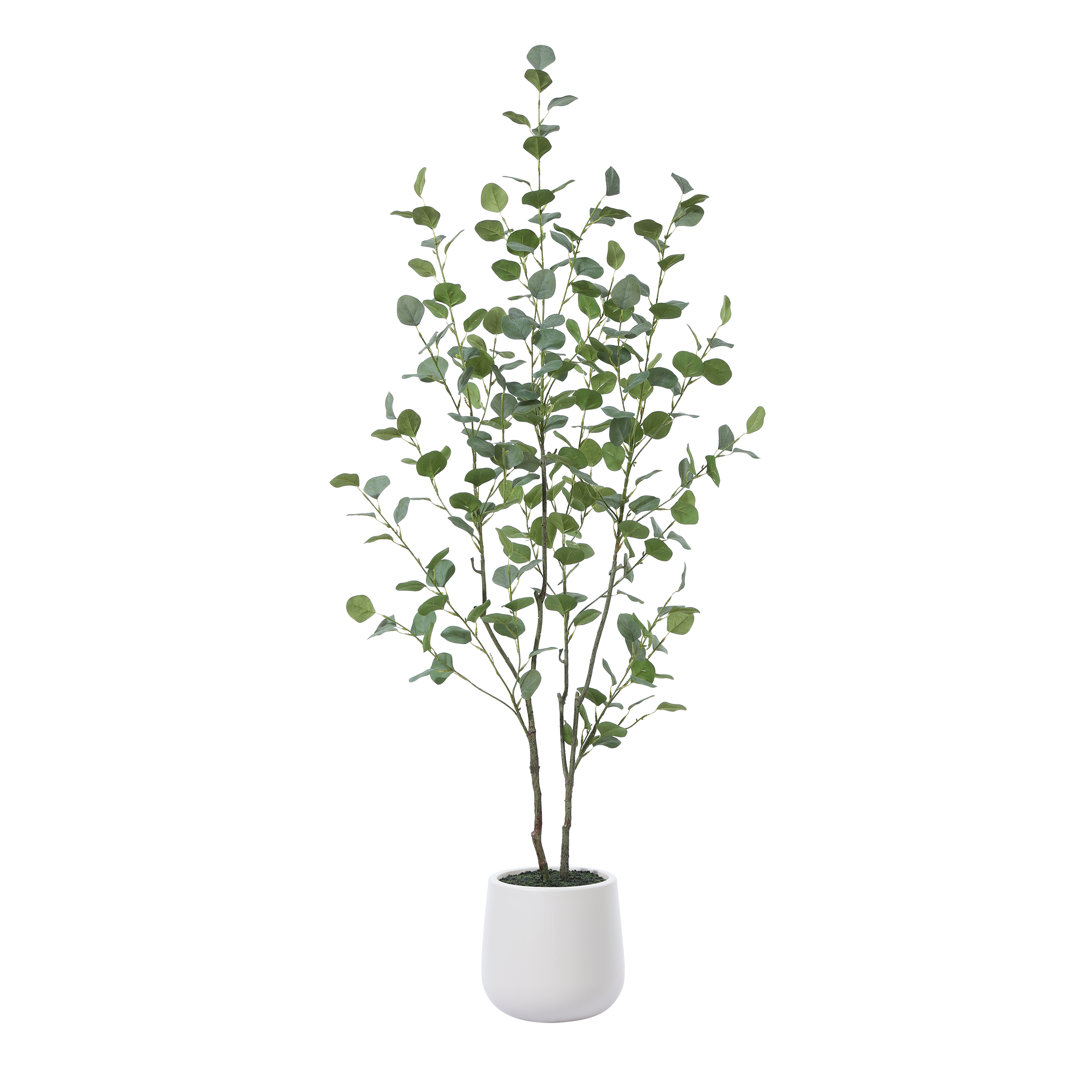 Adalia Faux Eucalyptus Tree with Oval White Planter, Pre Potted Artificial Eucalyptus Plant for Home Decor AllModern 