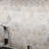 Angora Hexagon 11.75" x 12" Polished Marble Mosaic Floor and Wall Tile