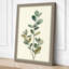 Study in Sage Botanical - Wrapped Canvas-1402833-1402840