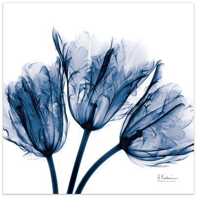 «Blue Tulip X-ray» par Albert Koetsier - reproduction de photo sur verre
