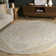 Barden Hand Tufted Oriental Area Rug