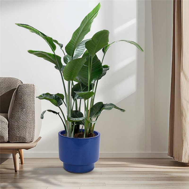 3 pots de fleurs élégants pour patio, jardin, Bleu vert antique