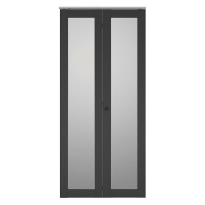 30 po X 80 po Porte pliante double en verre givré noir avec ensemble de quincaillerie et poignée de porte Full Lite