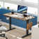 Latitude Run® Jakyb Standing & Height-Adjustable Desks & Reviews | Wayfair