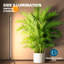 Naomi Grow Light