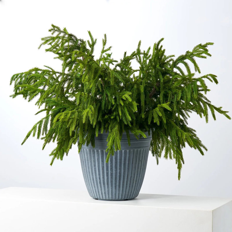 Arrangement de bourre pour urne d'hiver Natural Touch Norfolk