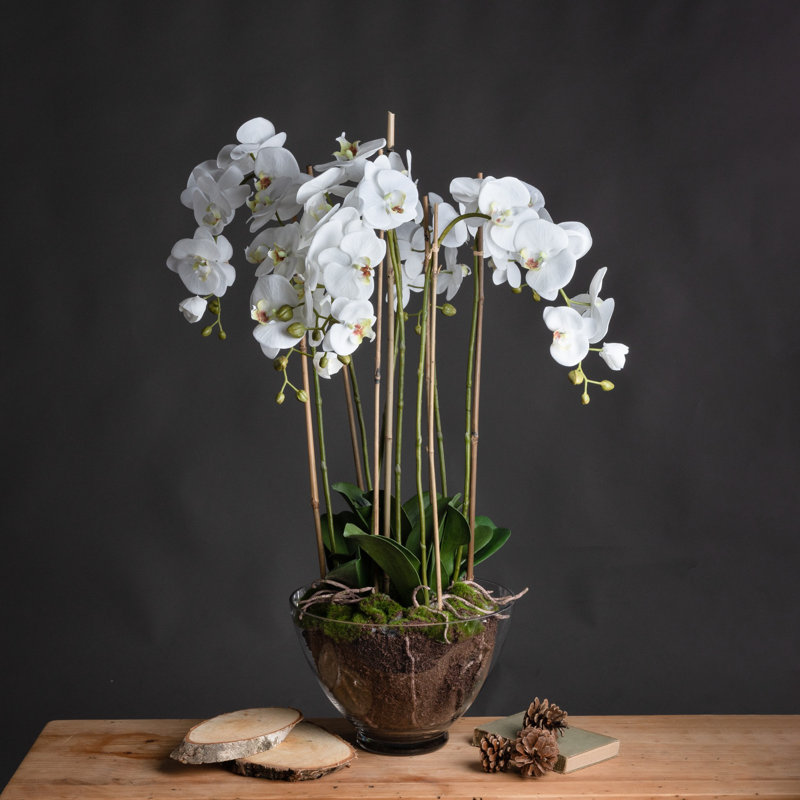 Annitta 88cm Plant in Pot