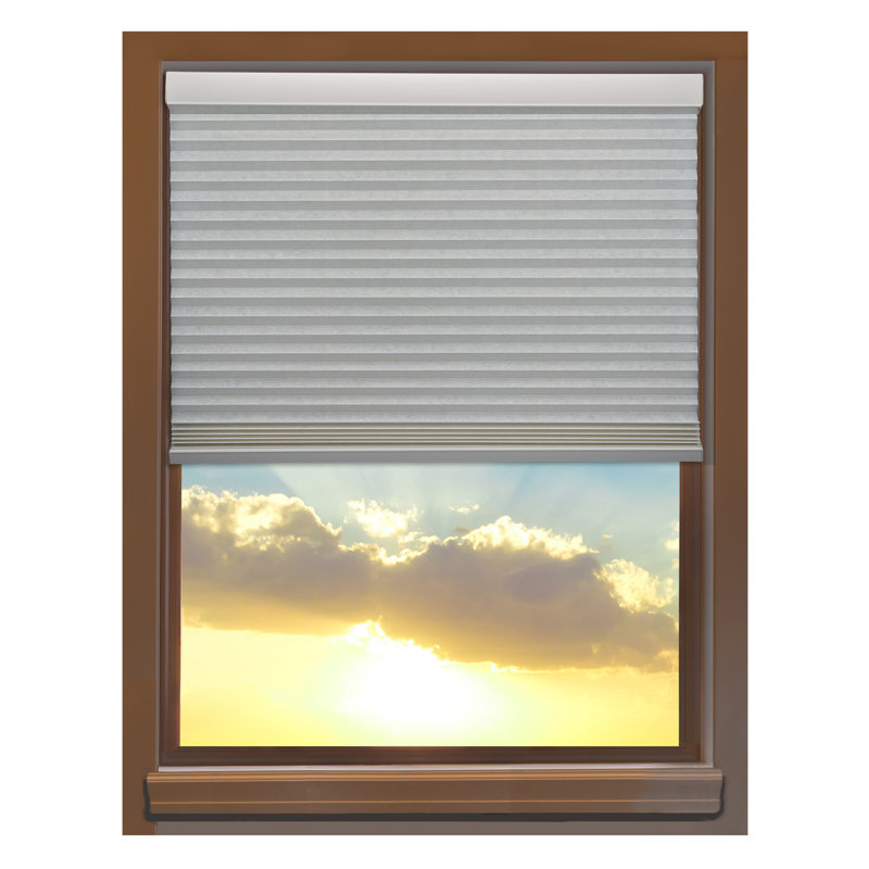Cordless Cellular Shade, 31.5" W x 84" L