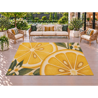 Tapis d'extérieur de 5 pi x 7 pi à motif de ressorts en PVC imperméable à l'eau, tapis de patio robuste, tapis d'extérieur robuste à séchage rapide pour la véranda.