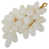 White/Gold