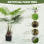 Faux Palm Tree in Pot-541601572