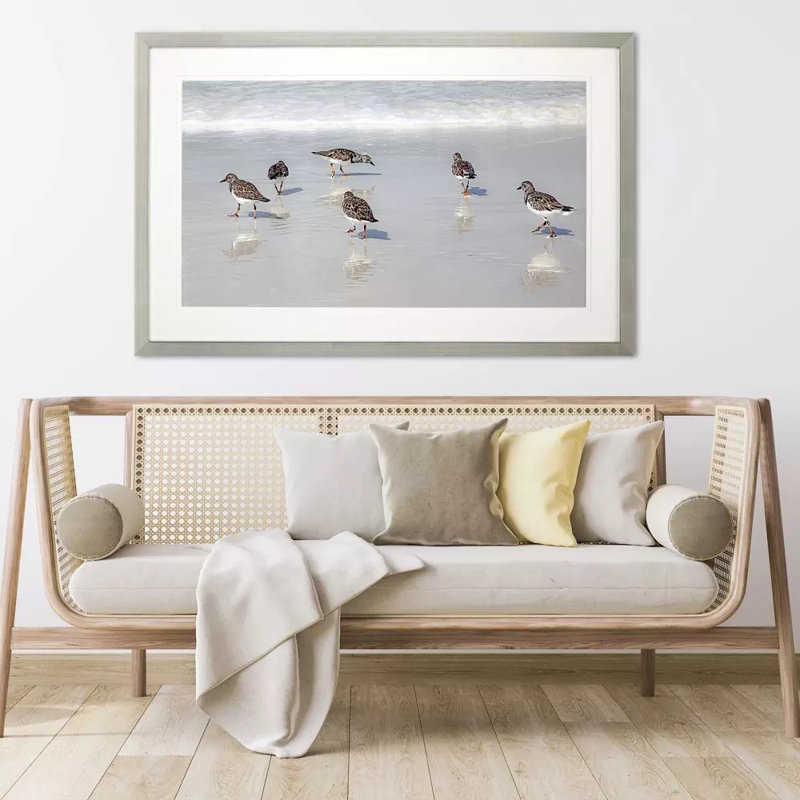 Sandpiper Reflections Framed On Print