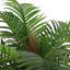 200cm Plant