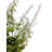 Artificial Lavender In Plastic Pot 23 Inch-114139753